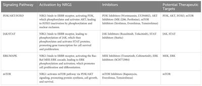 Analysis on the pathogenesis and treatment progress of NRG1 fusion-positive non-small cell lung cancer